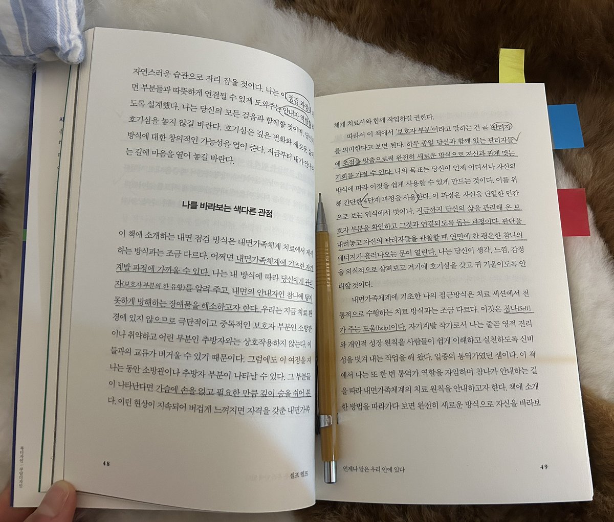 Sunflower tweet media