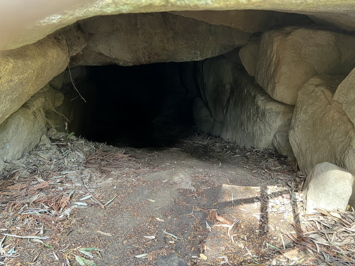 Sou_curator tweet media