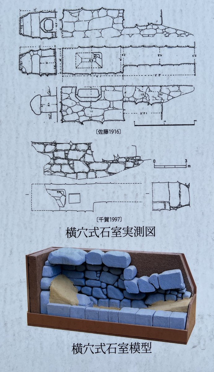 Sou_curator tweet media