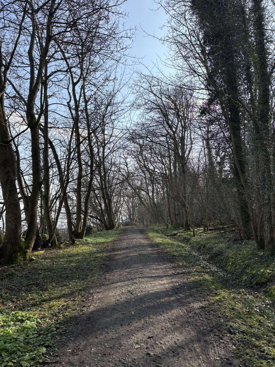 Cliff Mann 🏃🏽🥃🤘🏻🏴󠁧󠁢󠁳󠁣󠁴󠁿⚽️🇫🇷 tweet media