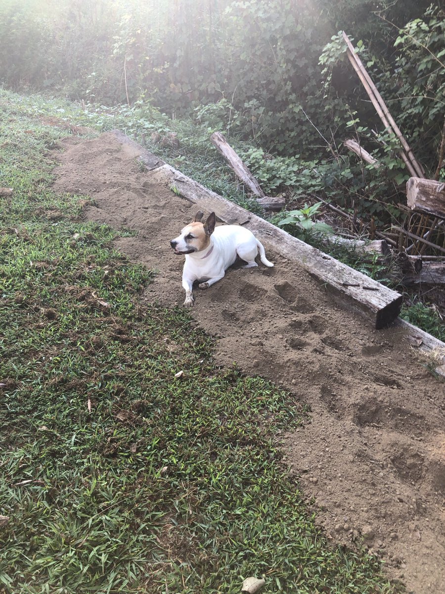 Franko ๐ฅ๐ฅ๐ฅ tweet media