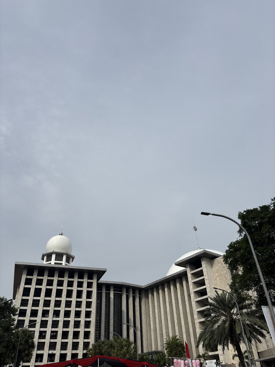 dezn 🪼 tweet media