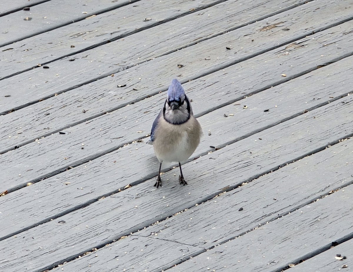 O'teach John tweet media