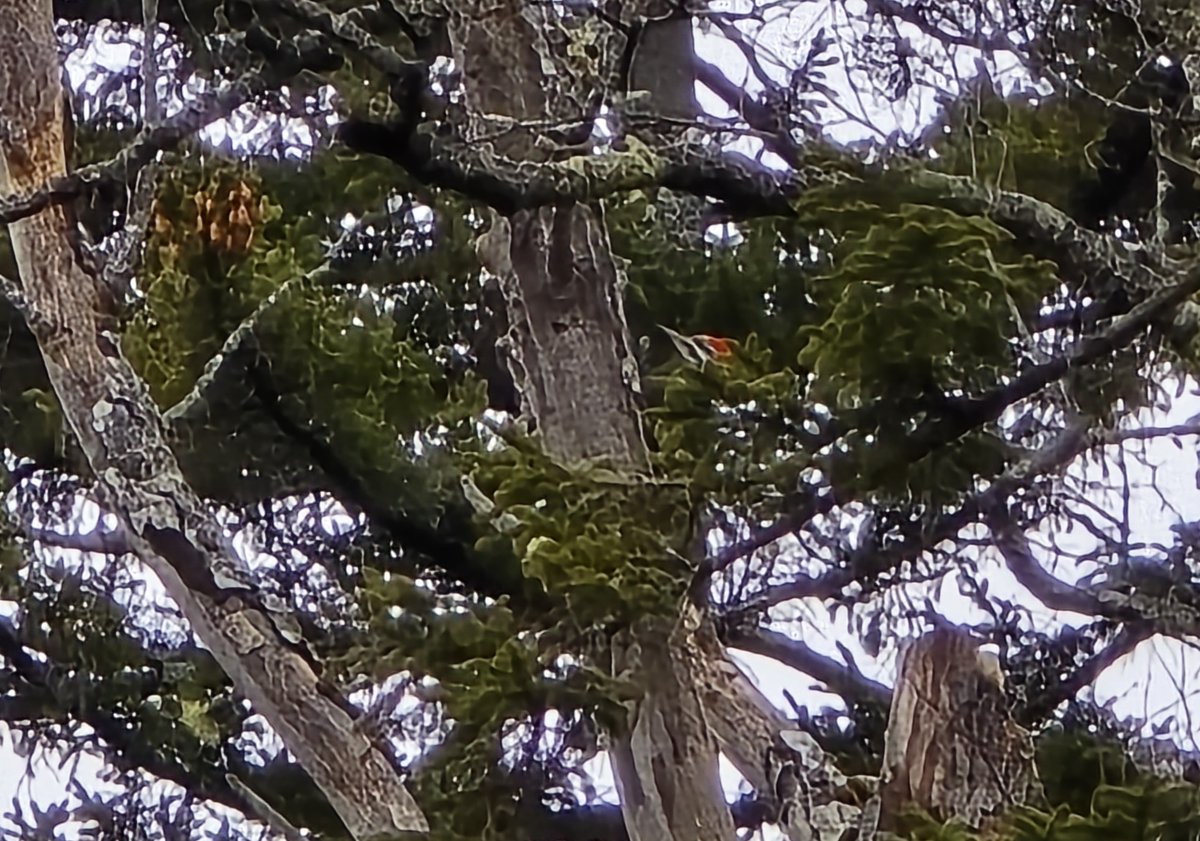 O'teach John tweet media