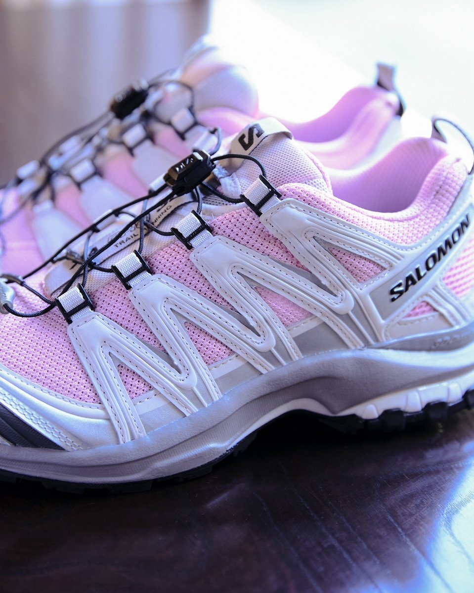 Modern Notoriety tweet media