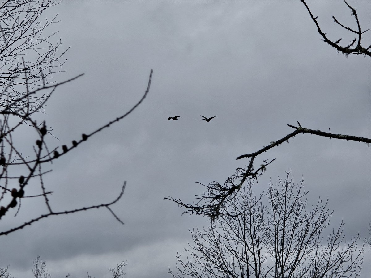 O'teach John tweet media