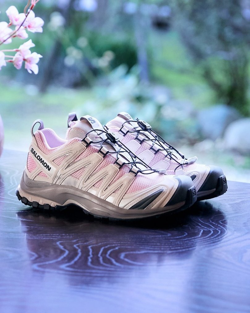 Modern Notoriety tweet media