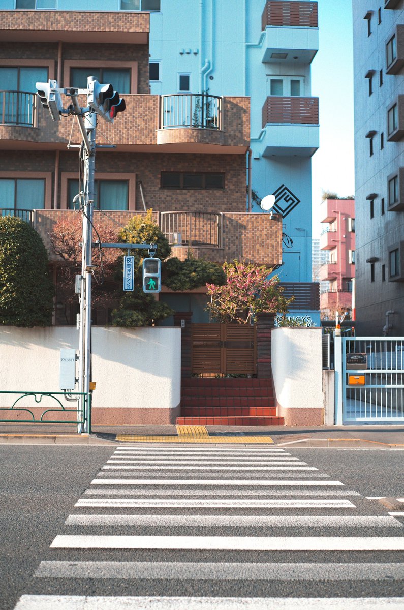 めいむら tweet media