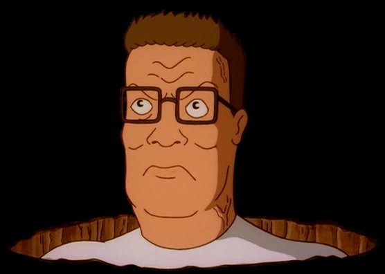 NotSoAnon101 tweet media