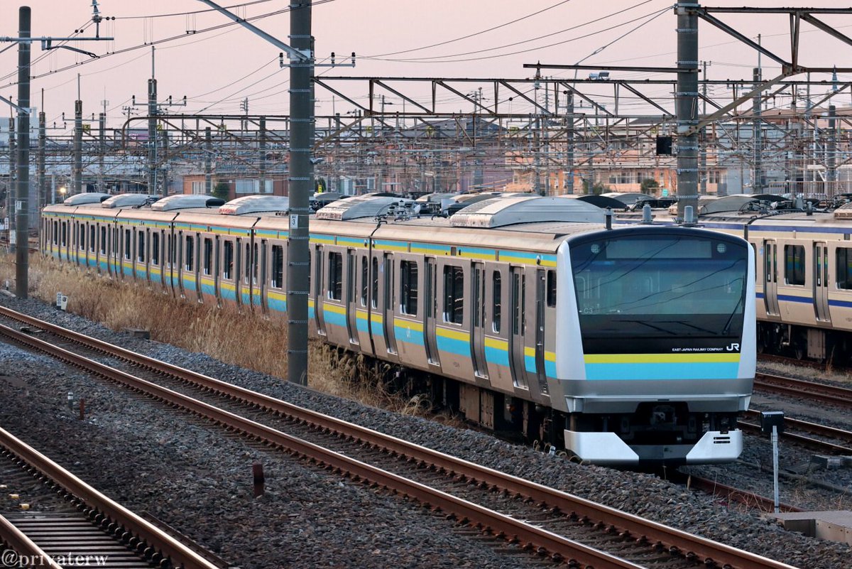 三条イツキ tweet media