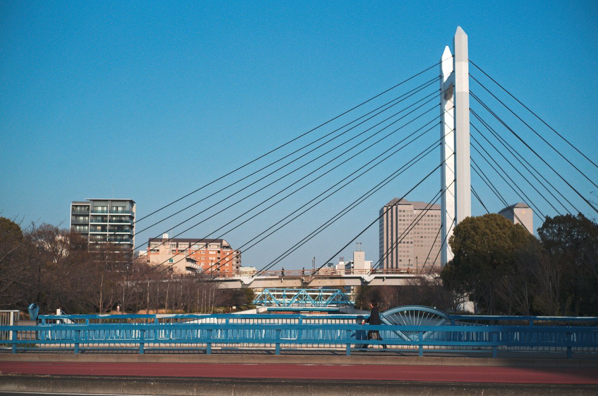 めいむら tweet media