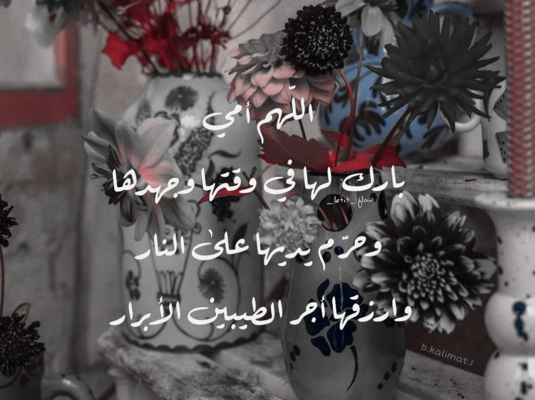 Dr. Haya Zedan 🌸🇸🇦 د. هيا زيدان tweet media