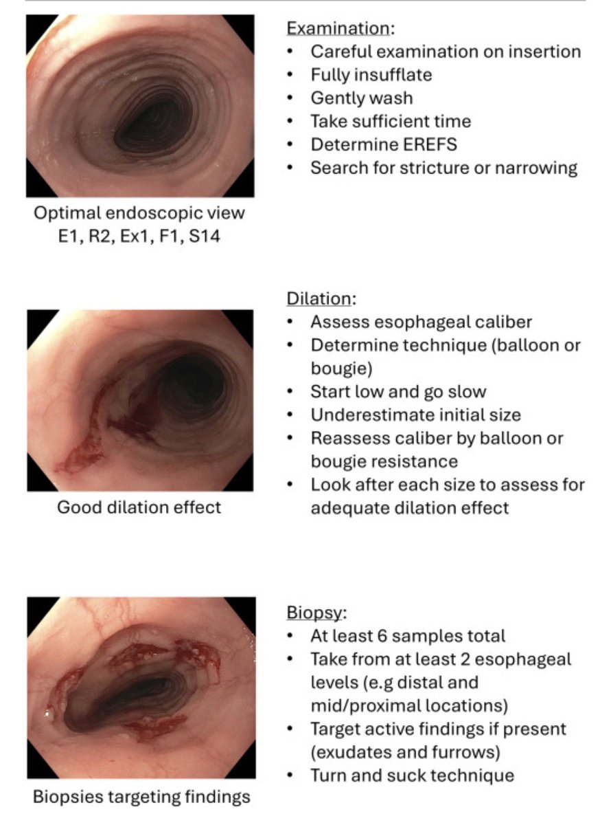 Ahmed Al Askary tweet media