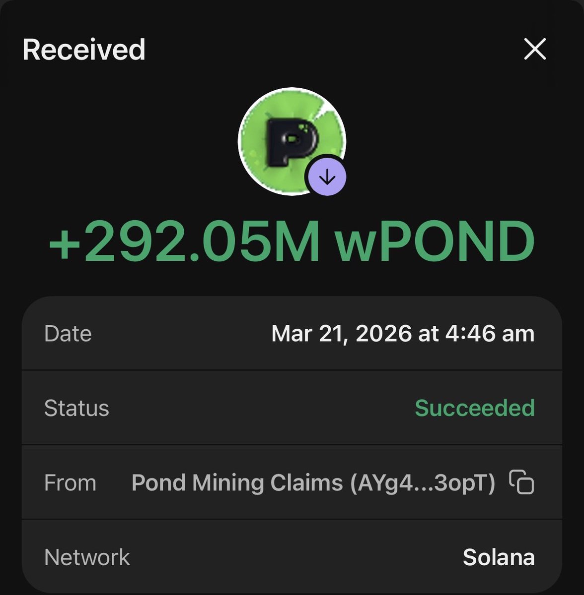 Gibson (bbl/acc)🕳️🐰 tweet media