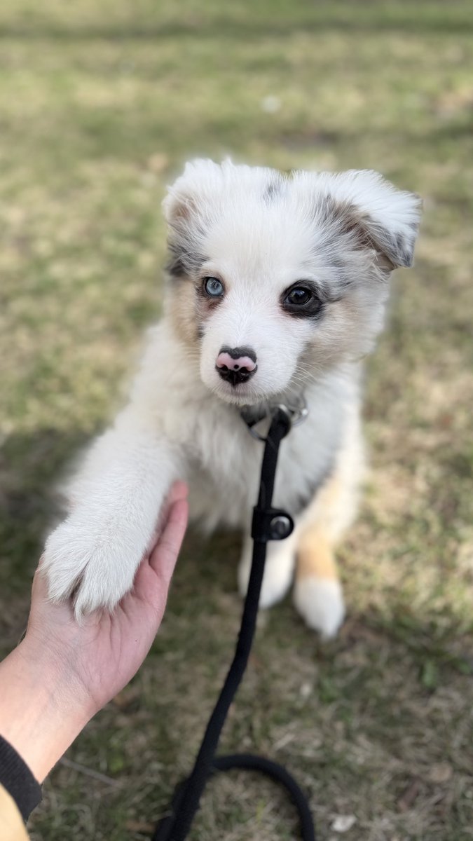 Mila 👩🚀 tweet media