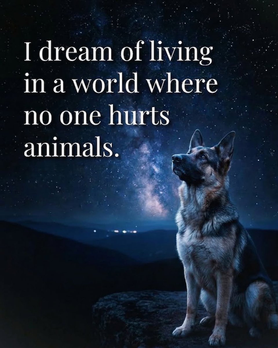 Doggy Mix tweet media