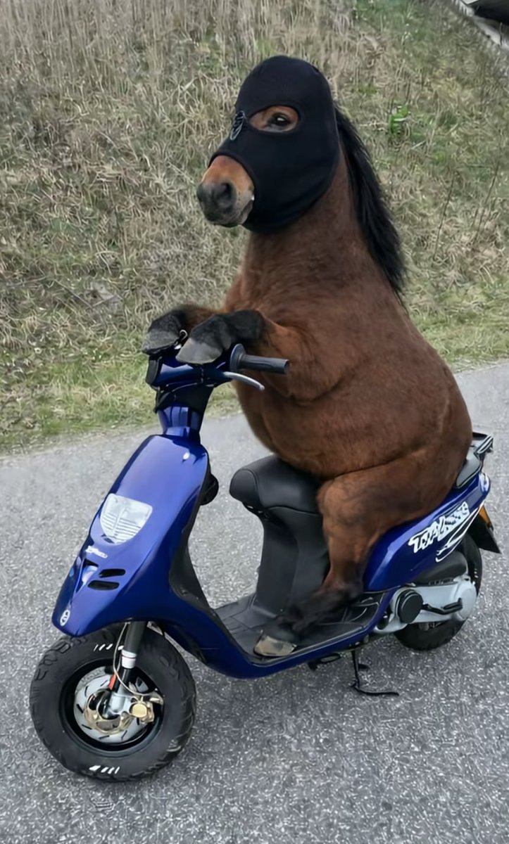 FrogMentor tweet media