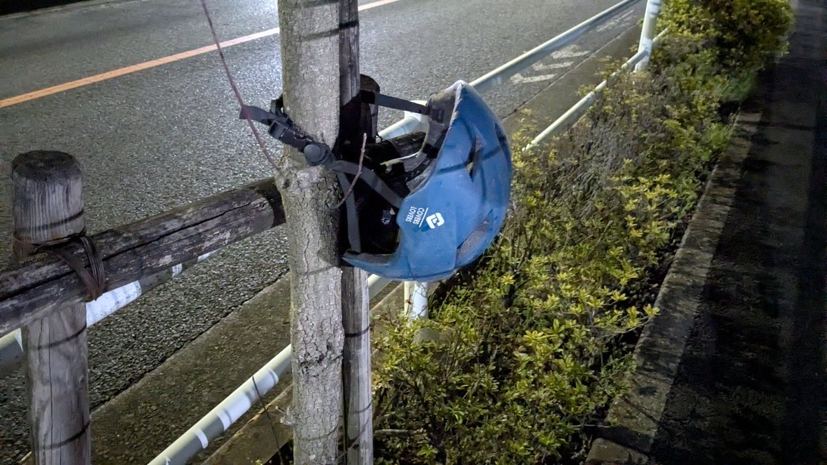 xL(おおきなえる) 🪼☁🌙🌸🐻💿⚒️ tweet media