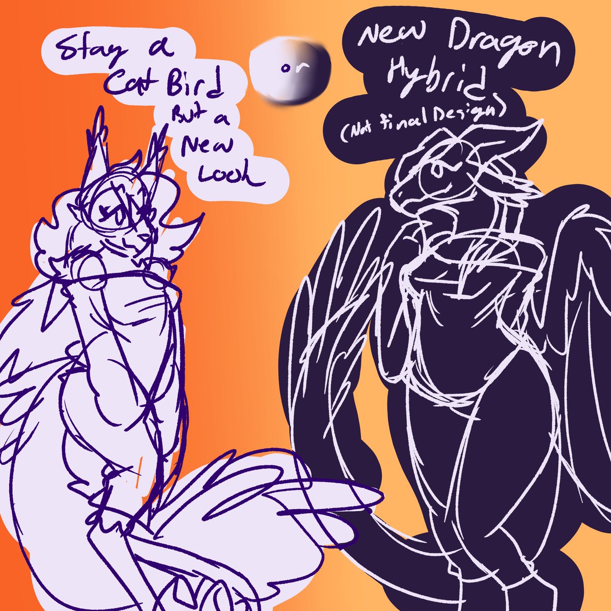 Safari_60✝️ tweet media