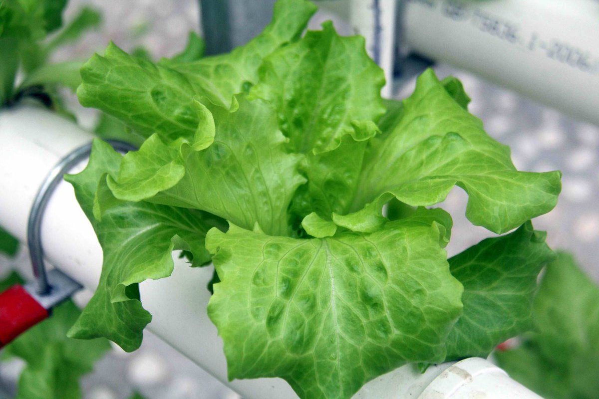 Liam Spalding tweet media