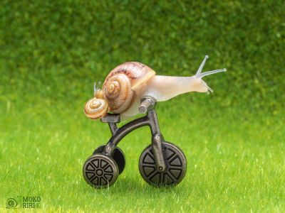 rio 🪲 bug oomf tweet media