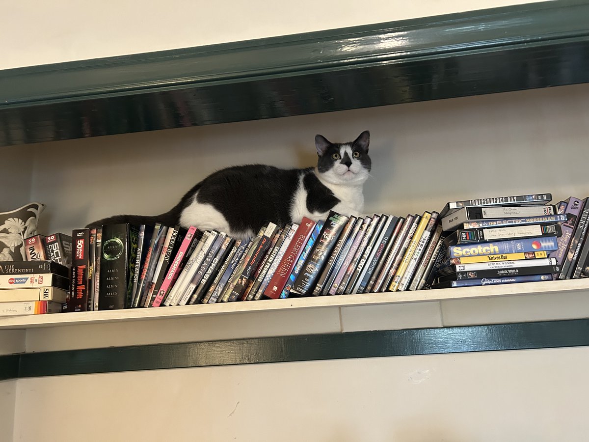 Anne McK tweet media