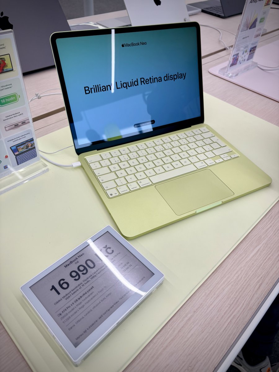 Alan Kooper tweet media