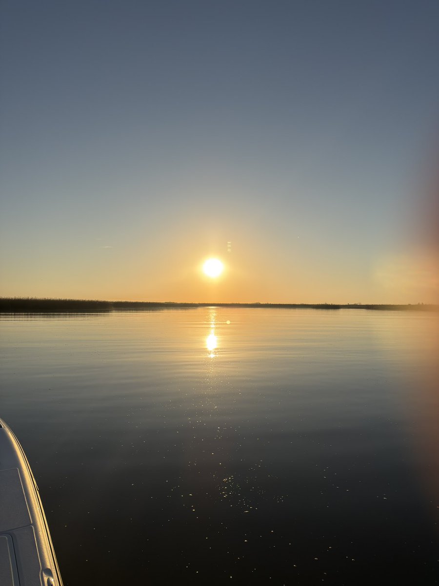 Mojo 🇺🇸 tweet media