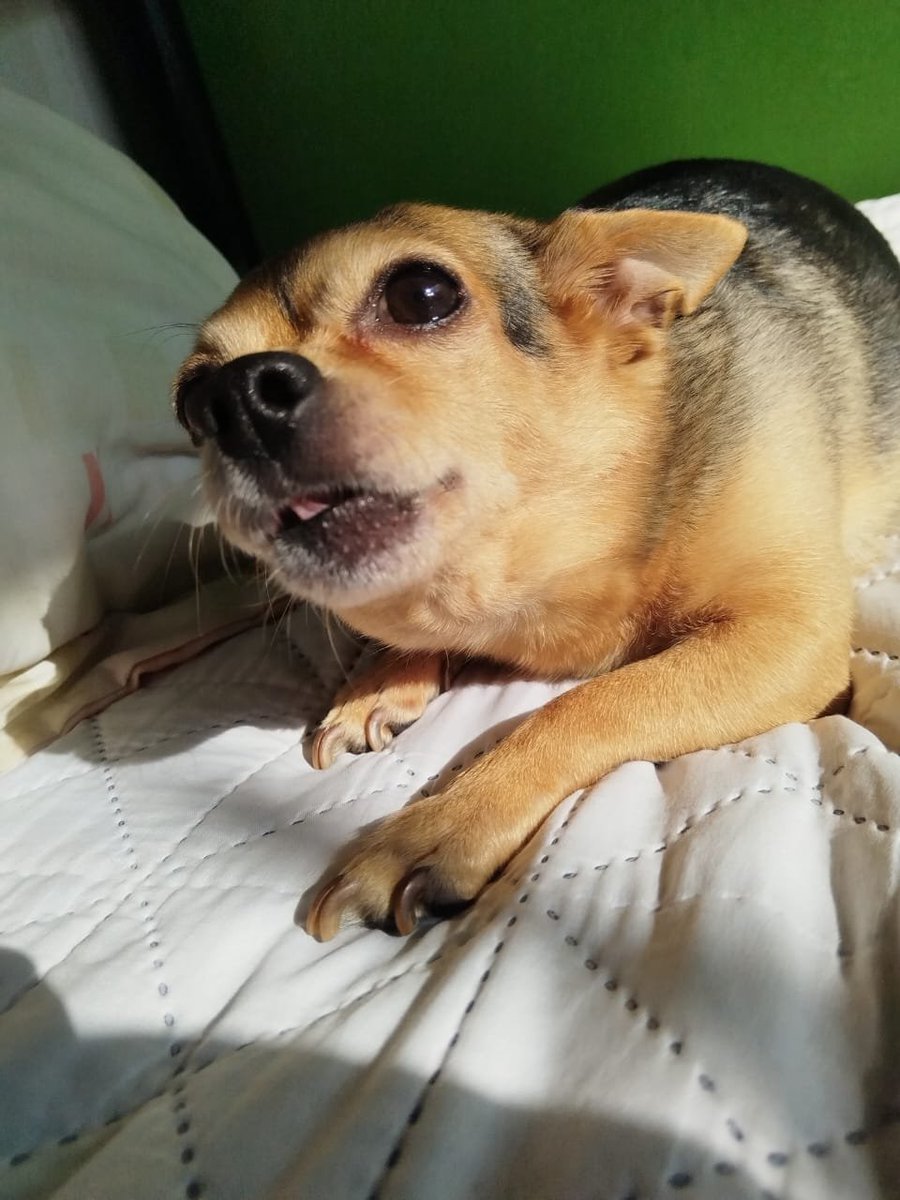 Sofie JMACS tweet media