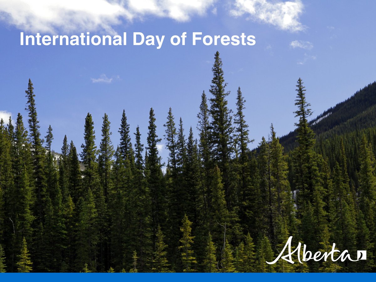 Alberta Forestry and Parks tweet media