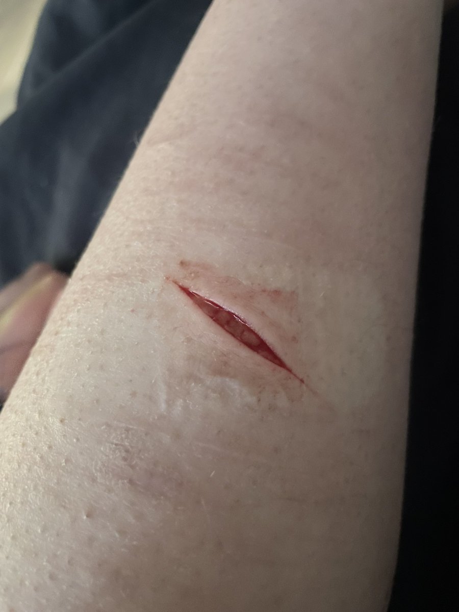 𐔌 . ⋮ gabe | shtwt + wilburtwt .ᐟ ֹ ₊ ꒱ tweet media