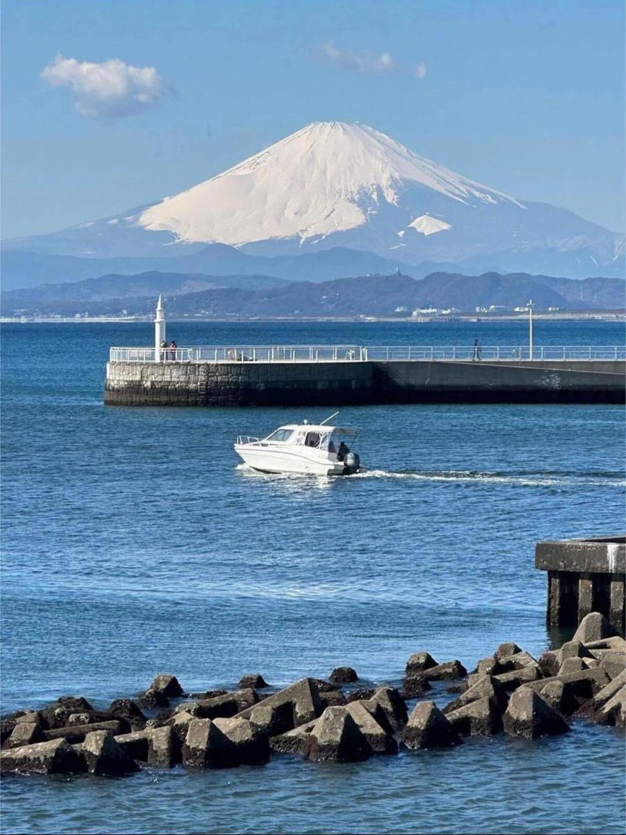 The Nature tweet media