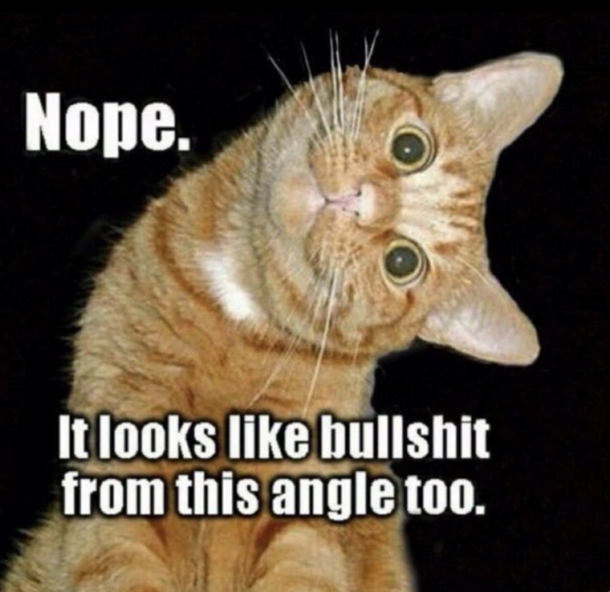 Scott Morrison tweet media