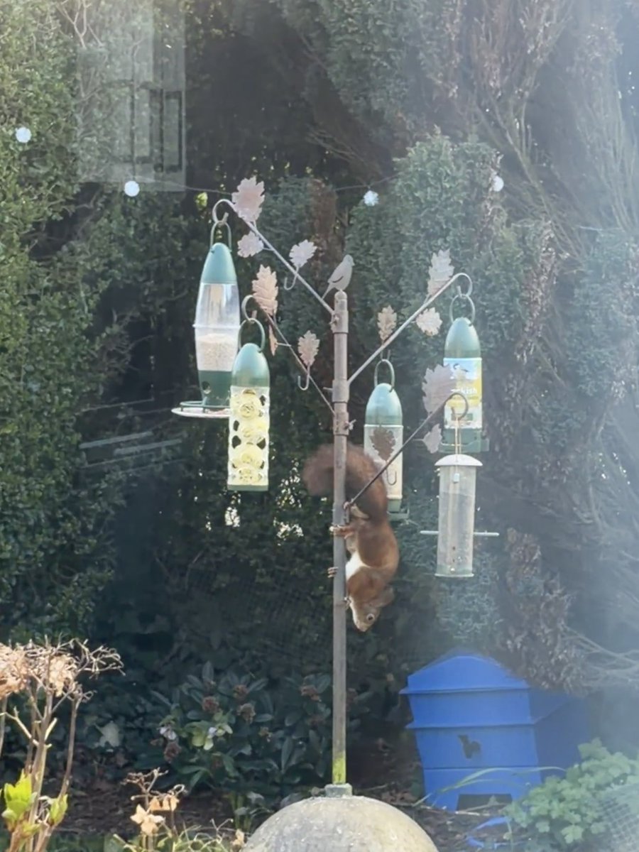 Grumpyjsymum tweet media