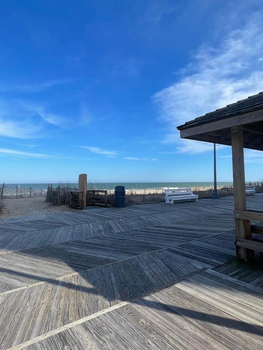 Nyla Hayes ⏰️🎙🦕👑 tweet media