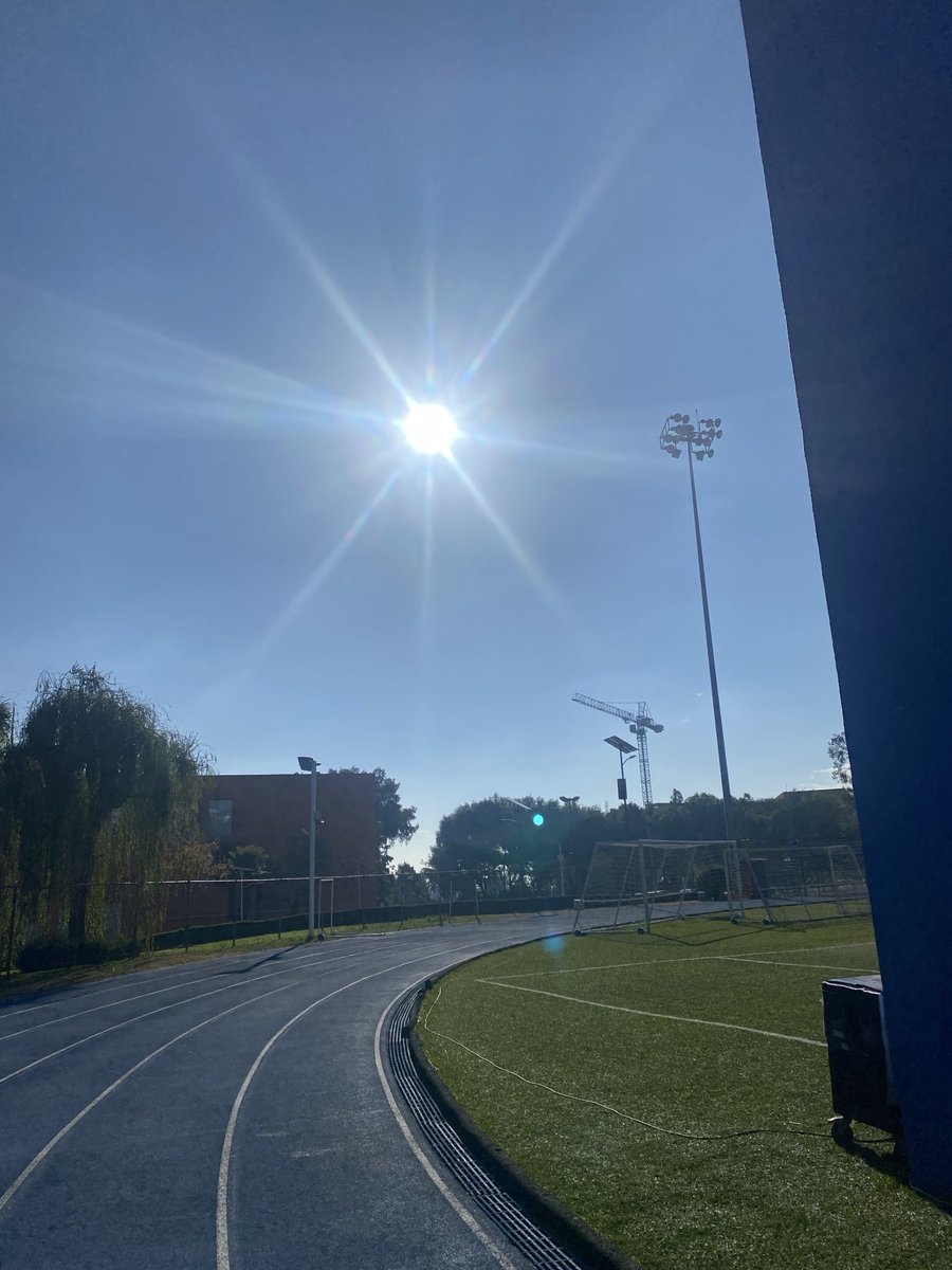 Mr. Salmon tweet media