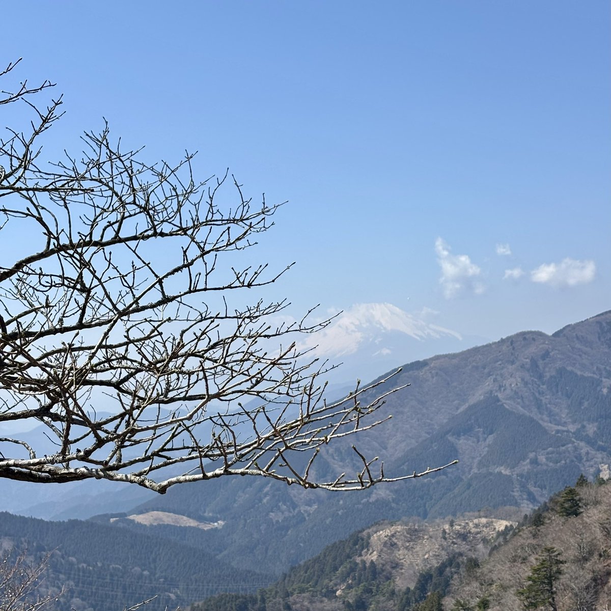 笹野みちる（エターナル活動家） tweet media