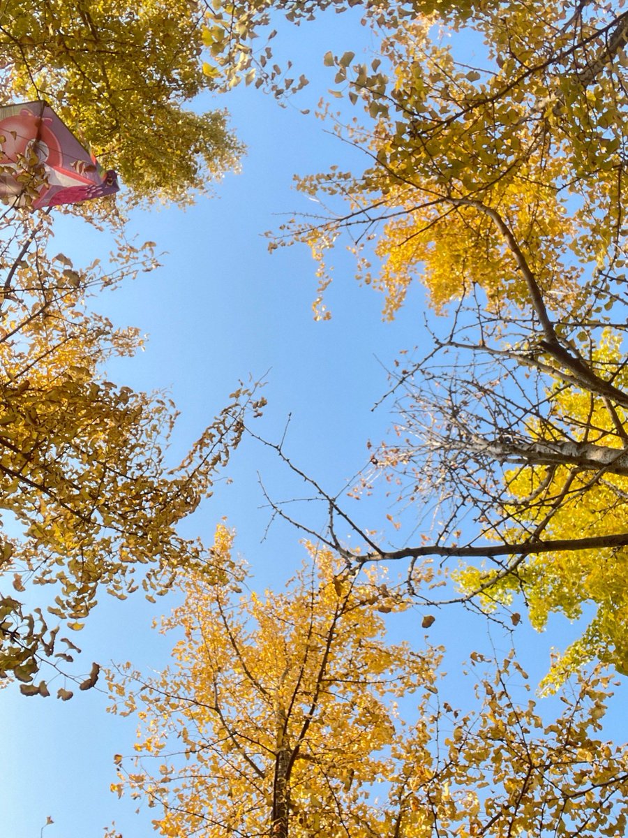 Ghazi Ghaziabas tweet media