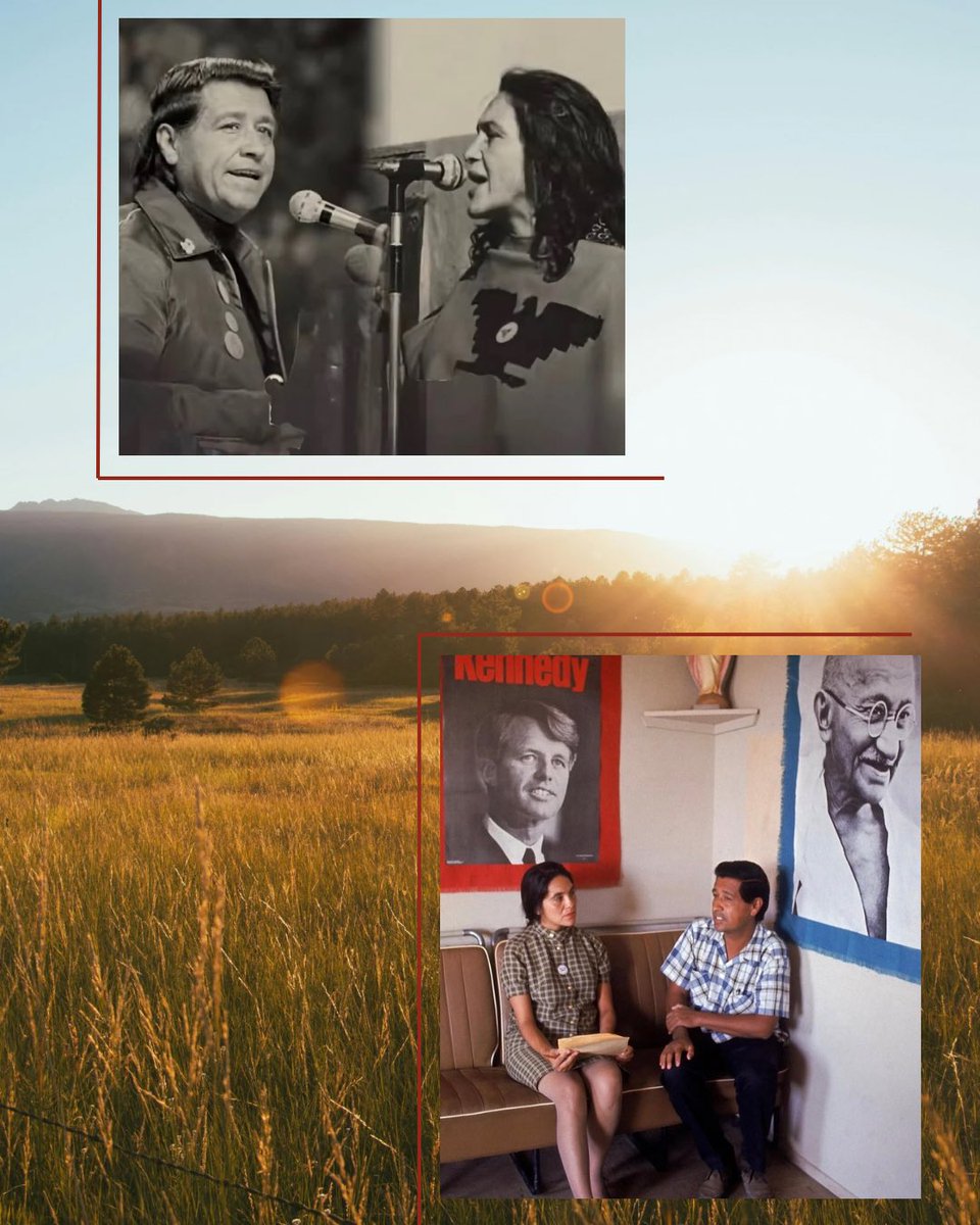 Peniley Ramírez tweet media