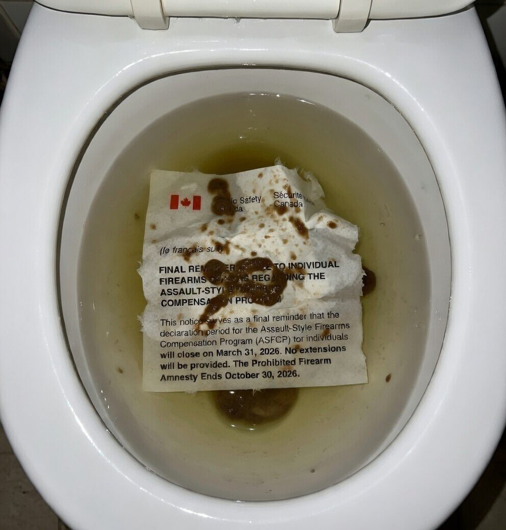 BackflowMaster 🇧🇲 tweet media