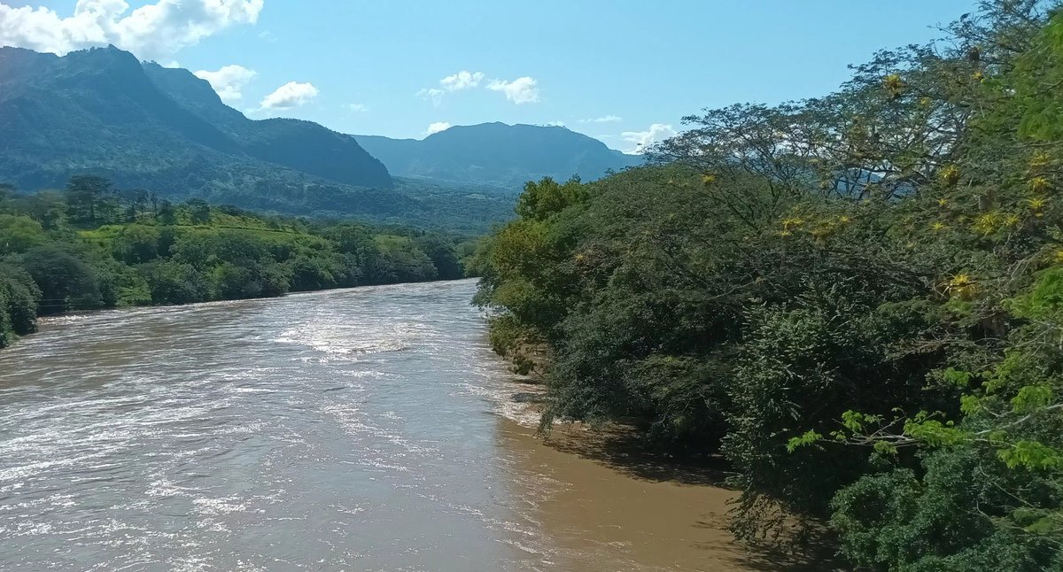 Lina María Velásquez tweet media