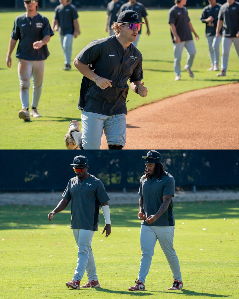 Florida Tech Baseball tweet media