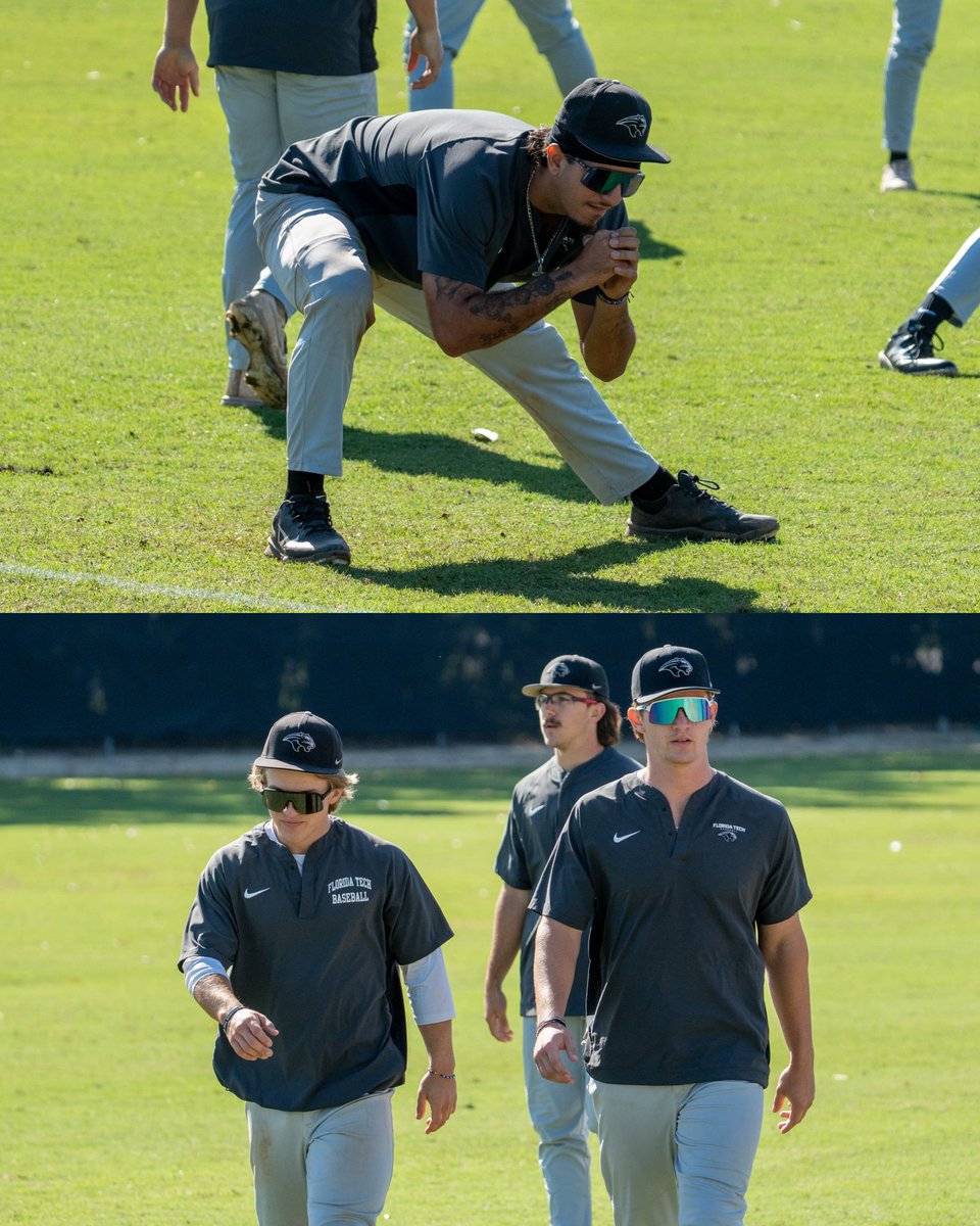 Florida Tech Baseball tweet media