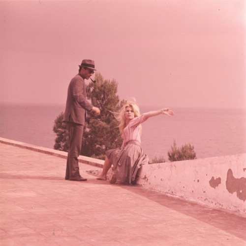 Distracted Film tweet media