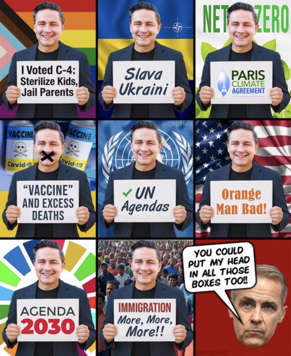 SeriouslyMeek tweet media