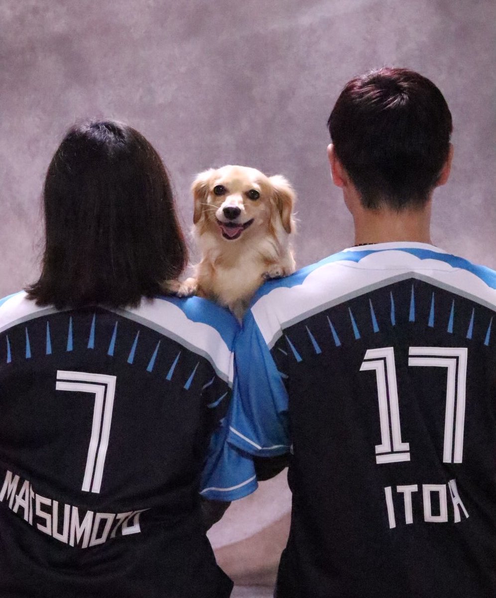 カーコン tweet media