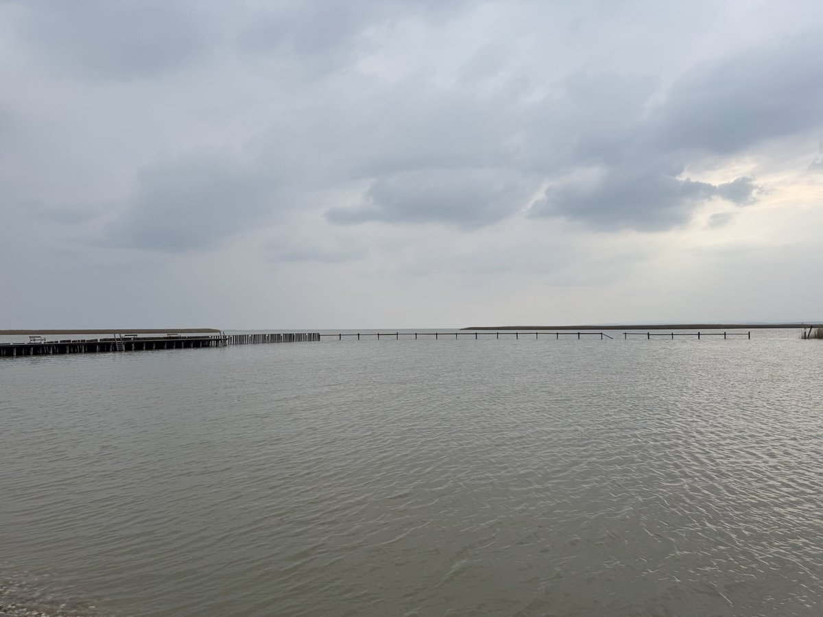 freshlyfe X lava boi tweet media