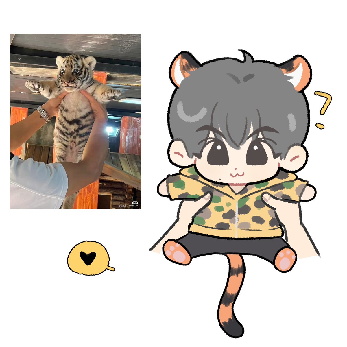 兔美元 tweet media