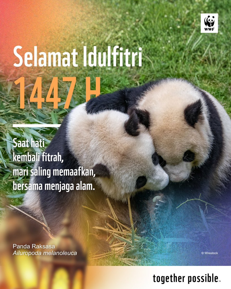 Yayasan WWF Indonesia tweet media