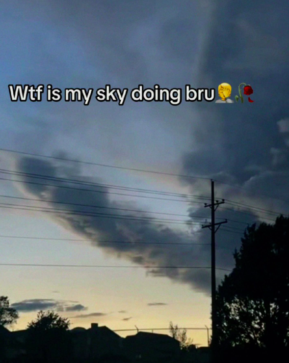 Shitpost 2077 tweet media